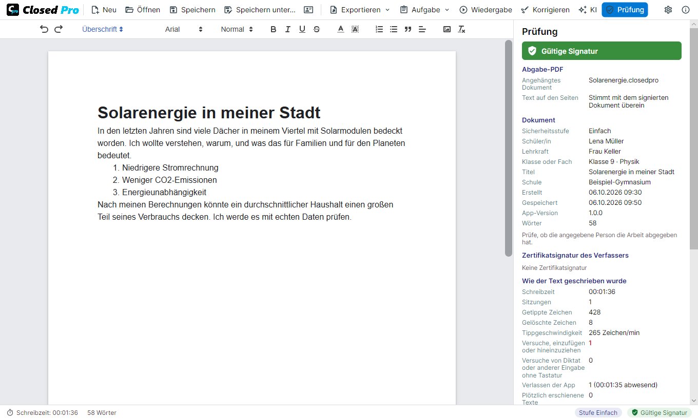 Ein Abgabe-PDF prüfen